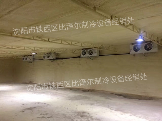 法庫(kù)縣石蕊凍貨批發(fā)80立方零下18度冷庫(kù)
